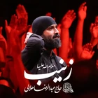 Zeyneb selamullah aleyha