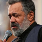 Hüzünlü kırlangıç, yaralı güvercin